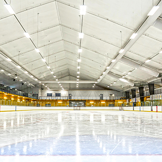 fabric hockey arena