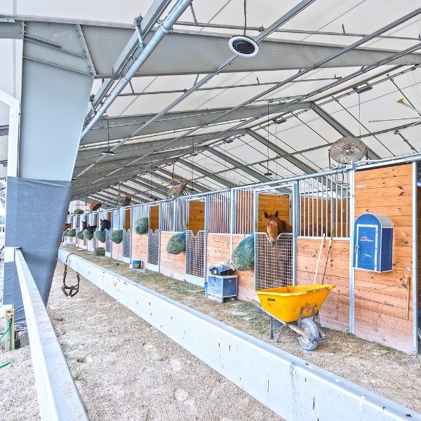 horse stalls inside tension fabric building