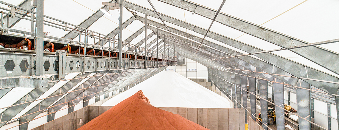 conveyor in bulk storage building